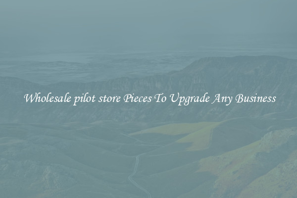 Wholesale pilot store Pieces To Upgrade Any Business