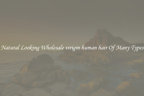 Natural Looking Wholesale virigin human hair Of Many Types