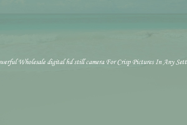Powerful Wholesale digital hd still camera For Crisp Pictures In Any Setting