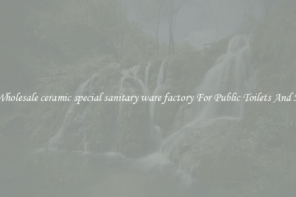 Buy Wholesale ceramic special sanitary ware factory For Public Toilets And Homes