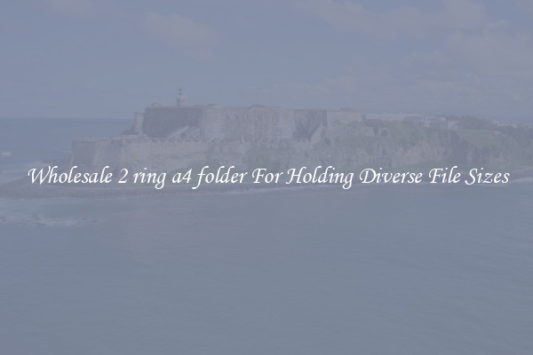 Wholesale 2 ring a4 folder For Holding Diverse File Sizes