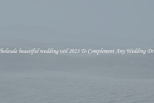 Wholesale beautiful wedding veil 2023 To Complement Any Wedding Dress