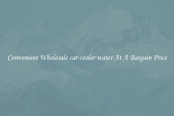 Convenient Wholesale car cooler water At A Bargain Price