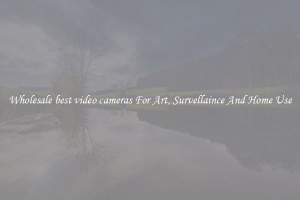 Wholesale best video cameras For Art, Survellaince And Home Use