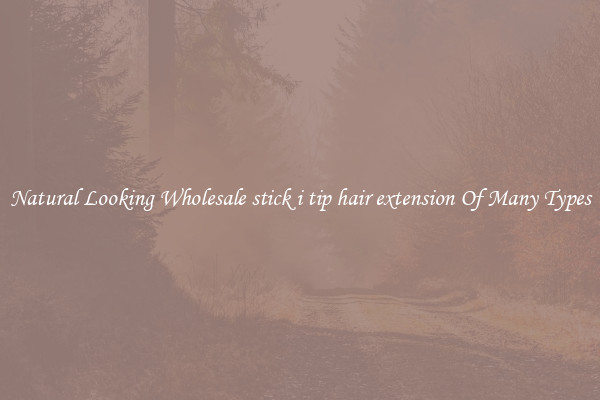 Natural Looking Wholesale stick i tip hair extension Of Many Types