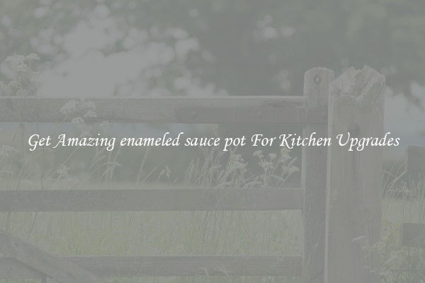 Get Amazing enameled sauce pot For Kitchen Upgrades