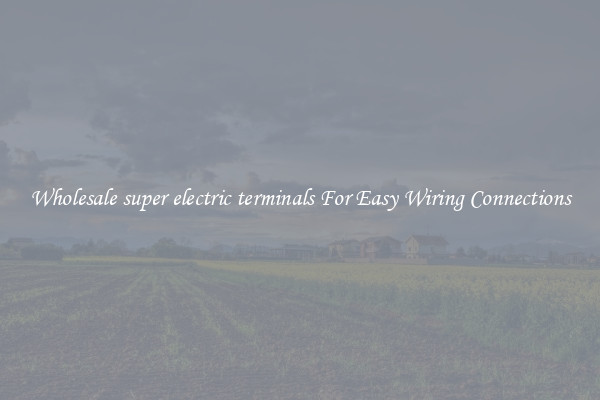 Wholesale super electric terminals For Easy Wiring Connections