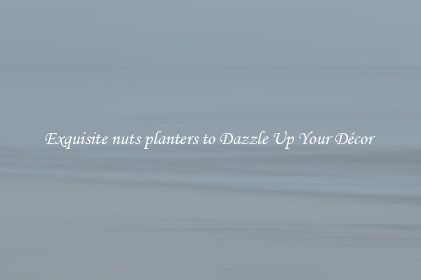 Exquisite nuts planters to Dazzle Up Your Décor 