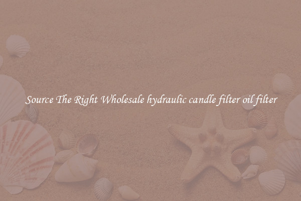 Source The Right Wholesale hydraulic candle filter oil filter