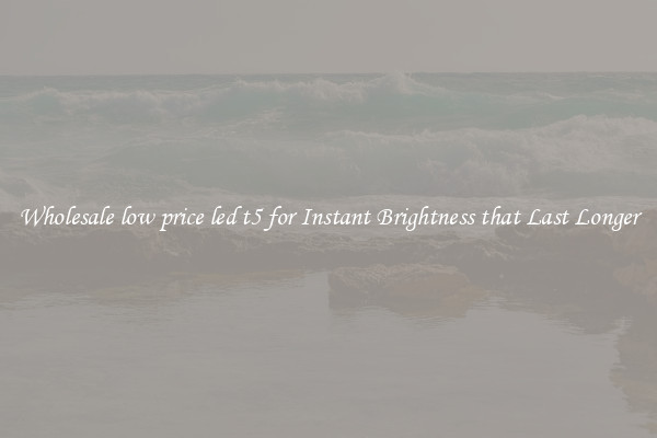 Wholesale low price led t5 for Instant Brightness that Last Longer