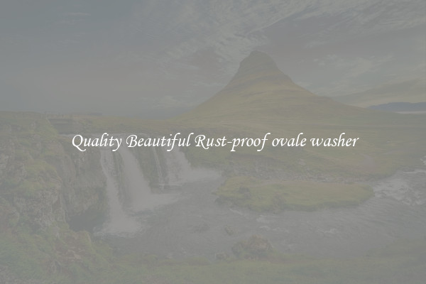 Quality Beautiful Rust-proof ovale washer