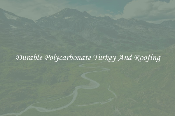 Durable Polycarbonate Turkey And Roofing