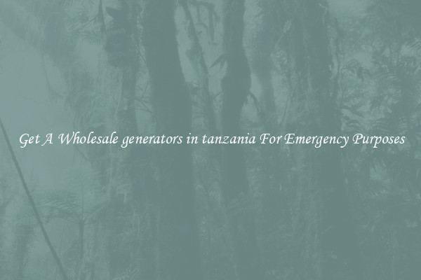 Get A Wholesale generators in tanzania For Emergency Purposes