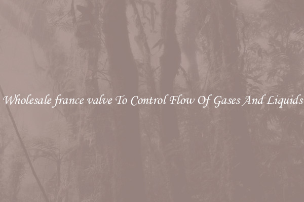 Wholesale france valve To Control Flow Of Gases And Liquids