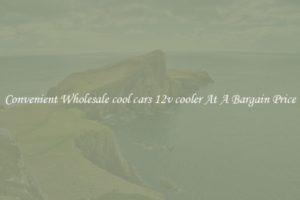 Convenient Wholesale cool cars 12v cooler At A Bargain Price