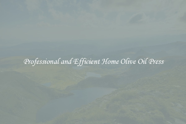 Professional and Efficient Home Olive Oil Press