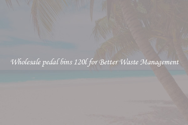 Wholesale pedal bins 120l for Better Waste Management