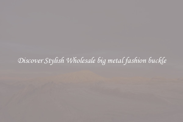 Discover Stylish Wholesale big metal fashion buckle